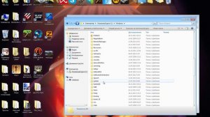 Как установить пиратский WarZ? (The WarZ Emulator Nexus)