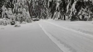 Нисан патрол 62 и Киа соренто прогулка по зимнему лесу