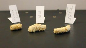 Древесный наполнитель для кошачьего туалета