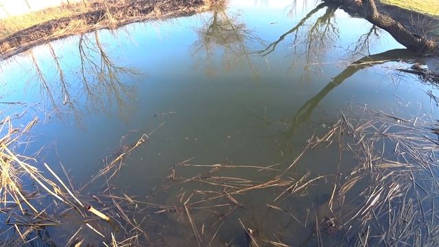 Жизнь в деревне, да если еще и море рядом, мечта каждого! смотреть онлайн