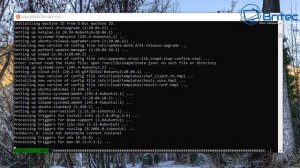 WSL 2 GUI Setup and Config for Ubuntu on Windows 10