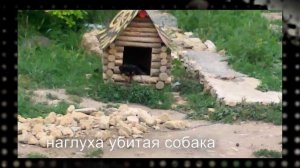 лучшее видео ( HD ).