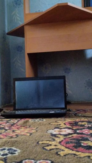 ДР играем в роблокс