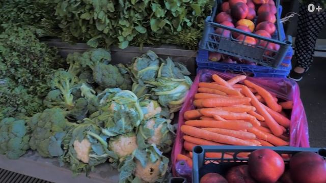 Где вкусно поесть в Алании? Рыбный рынок: свежая рыба и вкусные морепродукты – готовят тут же!