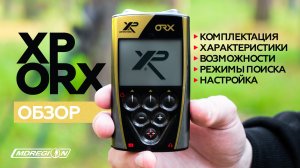 Обзор металлоискателя для поиска золота XP ORX