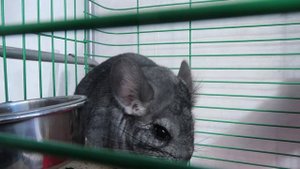 VLOG Сумасшедший день.? Мы с Дашей гостях