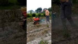 мотоблок Ока и картофелекопалка ККМ 1 август 2021г