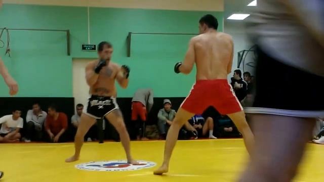 Турнир по профессиональному Боевому Самб смотреть онлайн