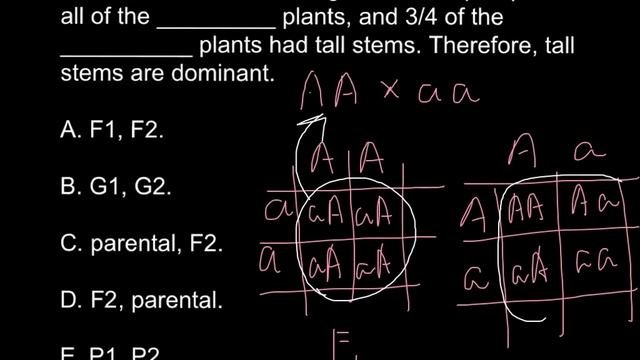 What Is Monohybrid Cross?