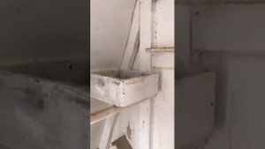 Голуби Гусь-Хрустальный; Голуби Владимира Шуралева