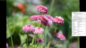 Гелиос 81н с автофокусом. Объектив Helios-81н автофокусный