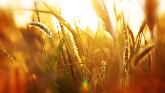 Yamaha YSP-2500 Soundbar Overview смотреть онлайн