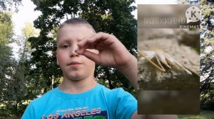 Ходячие и прыгающие растения. часть 1