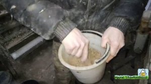 Простая мешанка для кур несушек