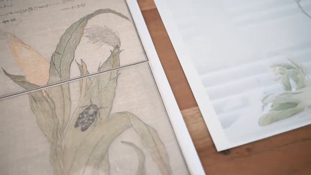 Daily Belkina №3. Создание натюрморта с бок-чоями. Съёмочный процесс, обработка, цифровая живопись. смотреть онлайн