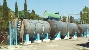 Начало уборки винограда в Малореченском (Массандра).