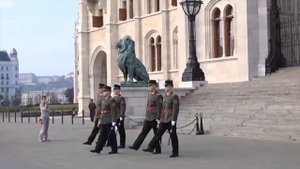 Развод почетного караула в разных странах.