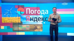 Вести.net: Погода для бизнеса и Zoom против удаленки (10.08.2023)