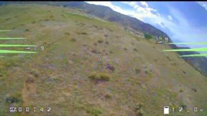 Darwin FPV Baby ape pro WORTH IT!