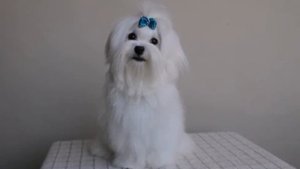 Edgar - 7 months - part 1