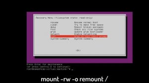 Reset forgotten Password on Ubuntu 20.04 in 2 Minutes