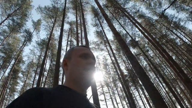 Разминка в лесу. Про@б записи, с разрушеной площадки в Курорте. ПТУ. ОТИ р-на выезда. смотреть онлайн