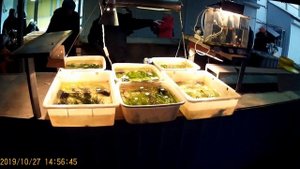 Птичий рынок Санкт-Петербурга, аквариумный дворик.