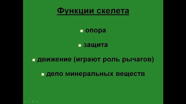 Скелет. Функции скелета. смотреть онлайн