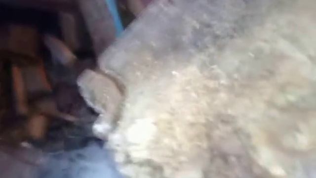 Уменьшение мощности шахтного котла или Холмова смотреть онлайн