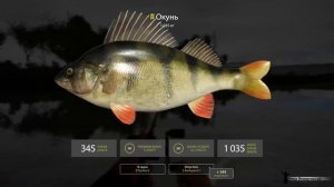 Русская рыбалка 4: вэки на Ахтубе!