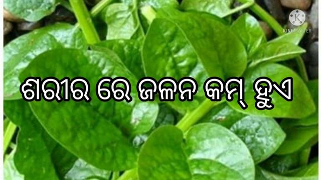 ପୋଇ ଶାଗର ଉପକାରିତା। ଶରୀର ଗରମୀ କମ୍, ଲିଭର କିଡନି ଫୁଲା କମ୍। Malabar Spinach benefits in odia language, смотреть онлайн