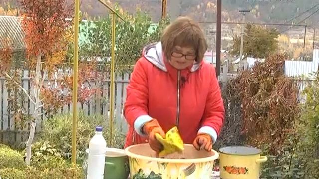 Посадка сидератов под зиму. Дачные советы от 19.10.2017 смотреть онлайн