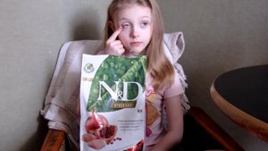 Чем кормить хорька?