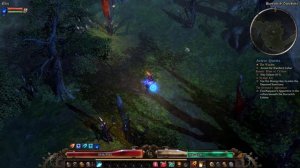 Grim Dawn Shadow Bug