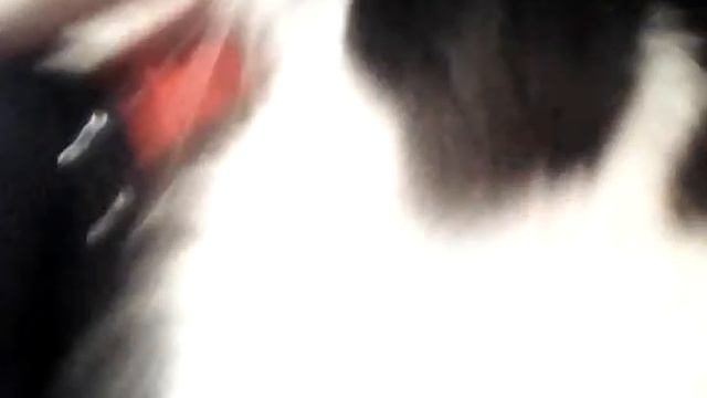 Мохамед,привет!и с днем рождения;) смотреть онлайн