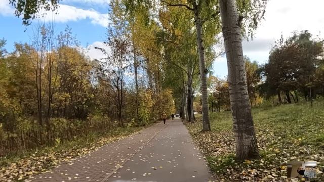 Техничка подкармливала бедную старушку просрочкой, а едва кассир попросил шефа просмотреть камеры смотреть онлайн