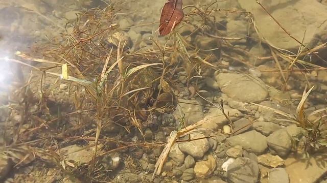 Рыбалка на Симферопольском водохранилище