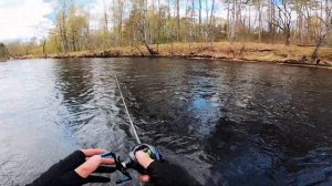 Haibo Arise Air test trout magnet 1,5 gr