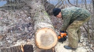 Цыганский STIHL бензопила!