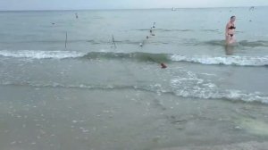 Бердянск лето  2018 г. Отлив и прилив моря.