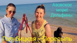 ОШАЛЕТЬ - Дельфины. Самое красивое море, Азовское! Пересыпь, Голубицкая.