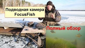 Подводная видеокамера FocusFish 2020 для зимней рыбалки, описание, подводные съёмки