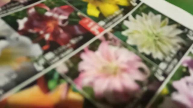 Посылка от semena.by [саженцы яблони, семена, луковичные] смотреть онлайн