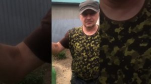 Утки муларды вес в 64 дня.