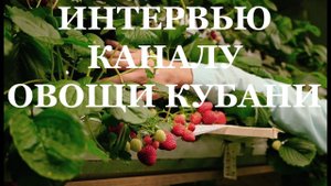 О МОЁМ ПРОЕКТЕ В ИНТЕРВЬЮ С ИВАНОМ МАЛИЧЕМ (ОВОЩИ КУБАНИ)