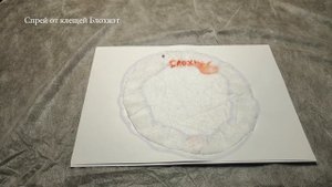 ТЕСТ СРЕДСТВ ОТ КЛЕЩЕЙ. Scalibor, Блохнэт, эвкалиптовое масло, деготь, чеснок