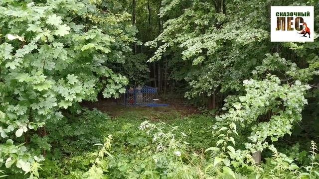 КУПАЕМСЯ в Калужской области/ХОТЬКОВСКИЙ ПРУД/экскурсия с ноткой патриотизма/СКАЗОЧНЫЙ ЛЕС
