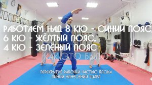 Работаем над 8 кю - синий пояс, 6 кю - жёлтый пояс, 4 кю - зелёный пояс в ЦСП «Тэнгу Про» Мурманск