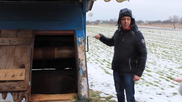 В гостях у "Доброты" | Sono stata al canile-gattile - stallo animali "Bontà" смотреть онлайн