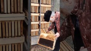 Сотохранилище на 1100 рамок Дадан. Базаев Леча Хамидович Кассетные павильоны #Павильонщики